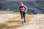 Jefferys Mount-211