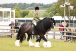 SBM_06219