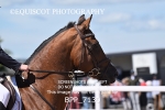 BPP_7130