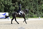 Section D CCI 4 Star Inc Nations Cup, Rider 401 to 418 portfolio