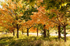 Bronte Park, Burlington