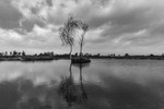 Little Island