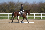 SBM_001213