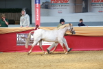 SBM_02261