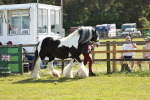 SBM_08959