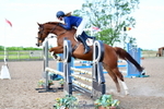Cls 21 British Novice and 90cm Open portfolio