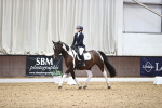 SBM_016311