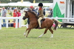 JPP_2007