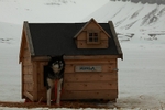 Luxury home 1420