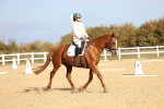 SBM_009163