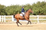 SBM_001187