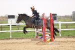 SBM_001772