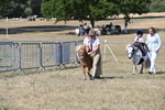 WJ6_9483