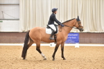 SBM_011019