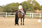 SBM_006646