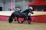 SBM_17618