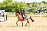 SBM_006592