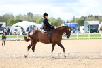 SBM_10749