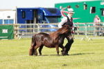SBM_01939