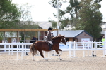 SBM_16766