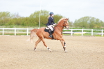 SBM_001754