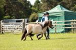 SBM_01749