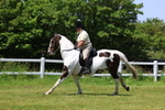 3E7A7710
