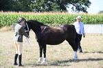 WJ6_4865