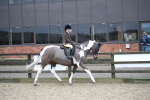 SBM_007905