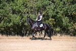WJ6_6732