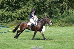 Section C, 80cm Juniors, Rider 101 to 126 portfolio