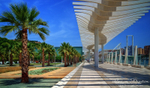 El Palmeral