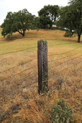 Abandoned Line portfolio