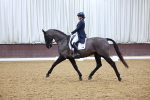 SBM_003036