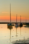 Blakeney 69