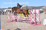 BPP_6791