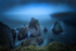 Sea Fog At Nohoval Cove
