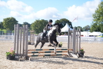 SBM_02414_J54 - Clear Round - 45cm