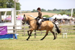 SBM_15086