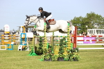SBM_01446