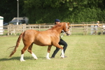 SBM_10447