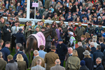 130326-Race 5-Gaelic Warrior-2894