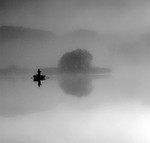 Esthwaite, silhouette - b&w