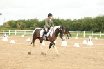 SBM_008670