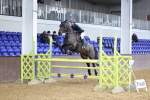 Class 5 - STX UK Pony Foxhunter - 1.10m portfolio