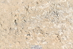 260704A-154424-15171