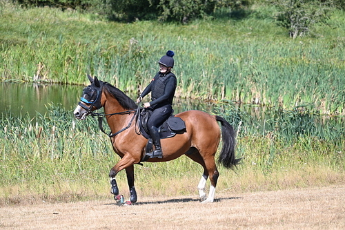 WJ7_7814