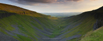 High cup Panoramic  ref hc1