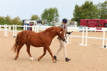 SBM_16575