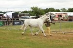 SBM_04258